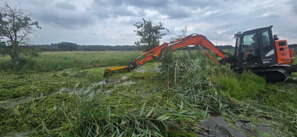 Naturpleje vandløbspleje åmand