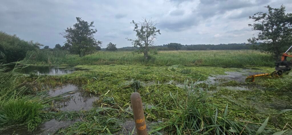 Naturpleje vandløbspleje åmand